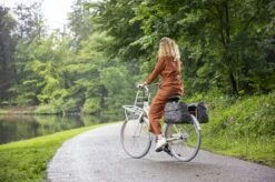 New Looxs Forest Joli Dubbele Fietstas - 37 Liter - Antraciet 23 New Looxs Forest Joli Dubbele Fietstas - 37 Liter - Antraciet -BOl Winkel 1200x799 48