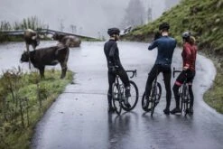 Rogelli Essential Winterjack - Fietsjack Heren - Zwart - Maat 2XL -BOl Winkel 1200x800 8