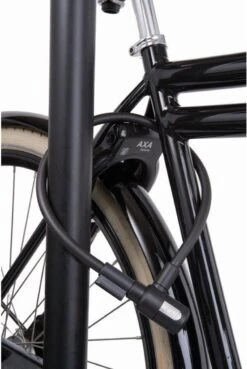 Axa Newton Kabelslot - 12mm X 60cm 14 Axa Newton Kabelslot - 12mm X 60cm -BOl Winkel 804x1200 3